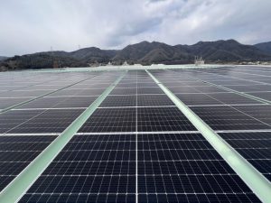 和気小学校　佐伯中学校　完成